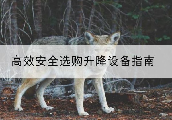 丹巴升降货梯厂家推荐-*安全选购升降设备指南