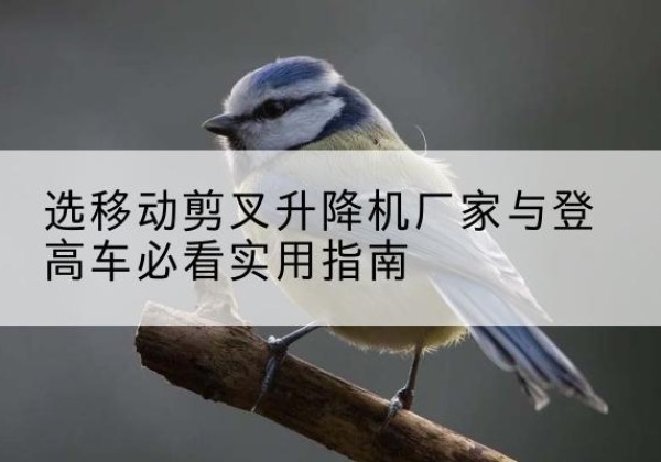 丹巴电动升降机厂家-选移动剪叉升降机厂家与登高车必看实用指南