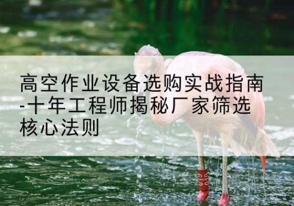 丹巴剪叉式升降机厂家-高空作业设备选购实战指南-十年工程师揭秘厂家筛选核心法则